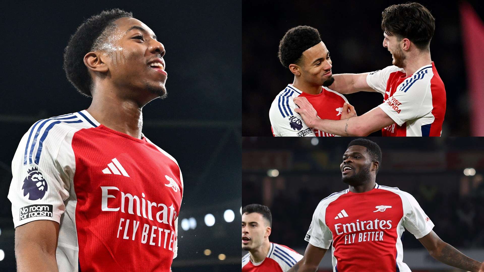 葡萄牙的 葡萄牙的