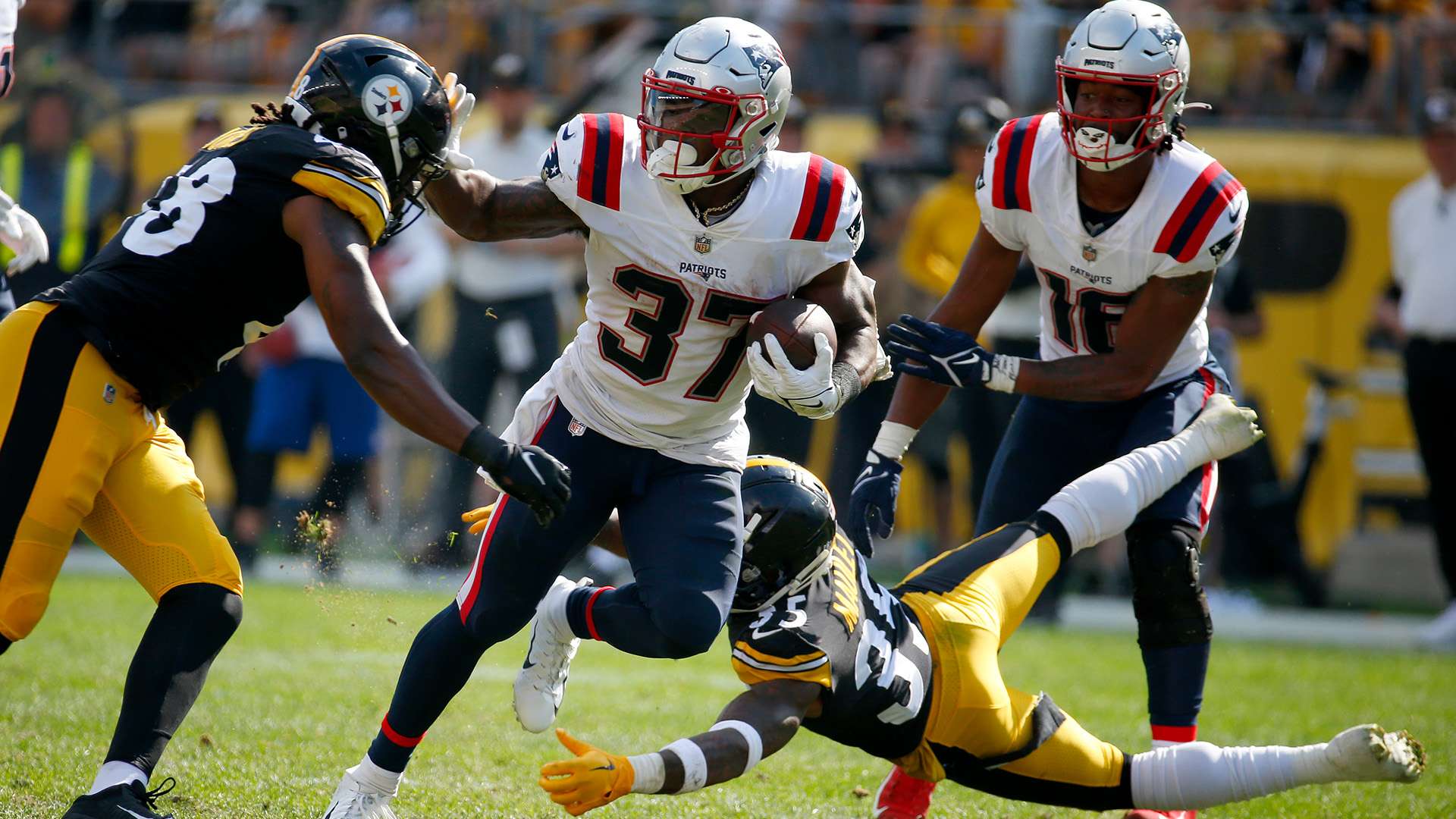 关键权益 关键权益