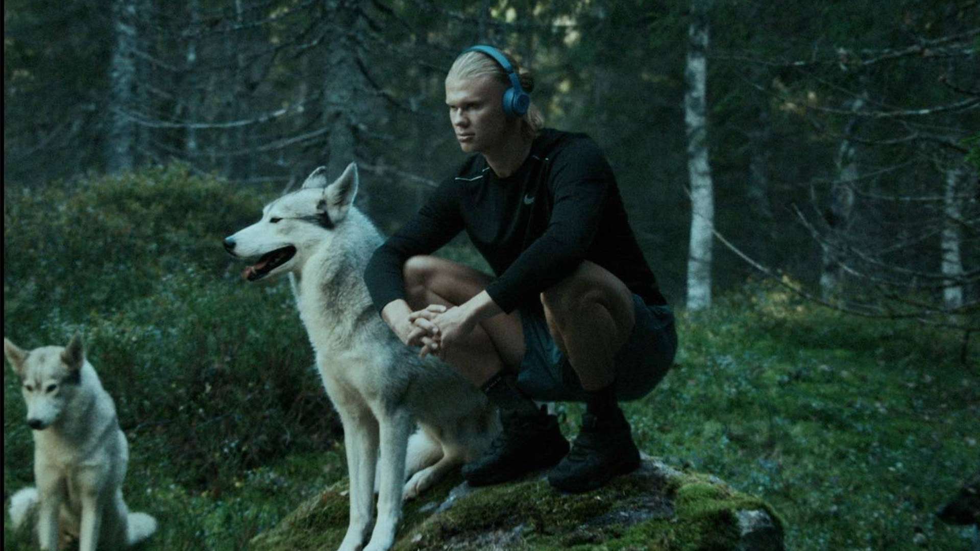 以及參與英 以及參與英