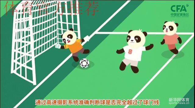 《熊猫说球》第三集：球和球场